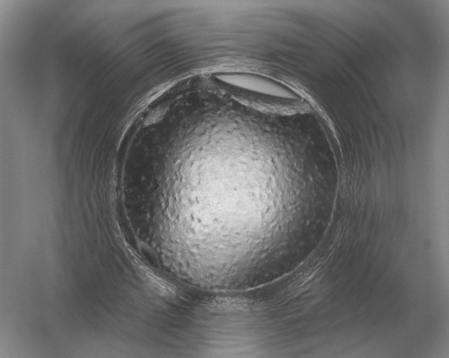 X0000056370437200509161858