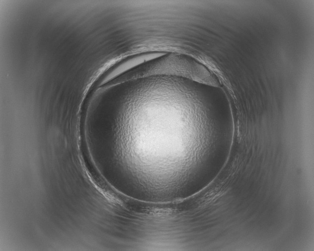 X0000056370438200509161858