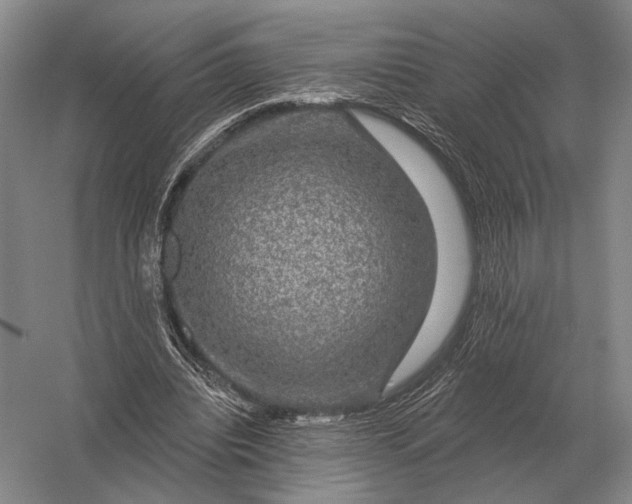 X0000056370440200509161858