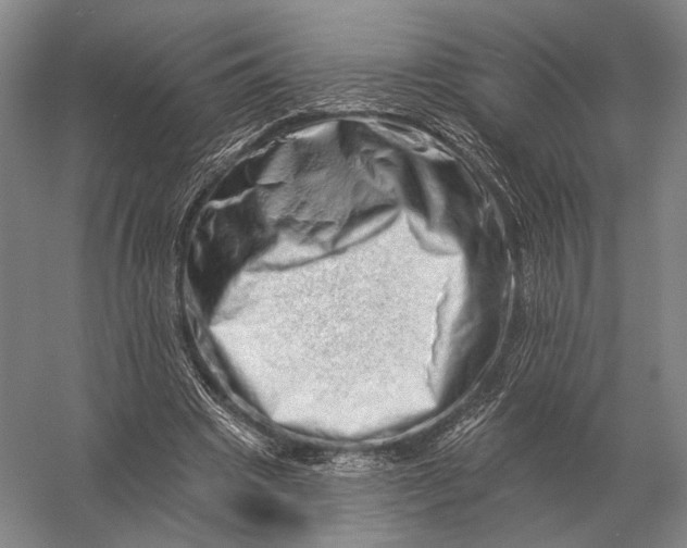 X0000056370441200509161858