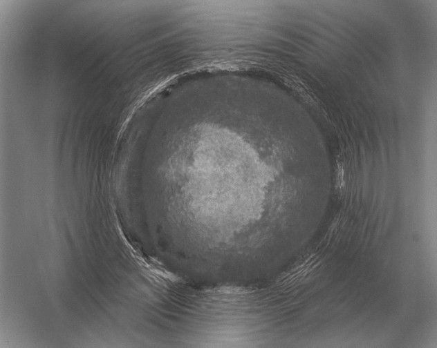 X0000056370444200509161858