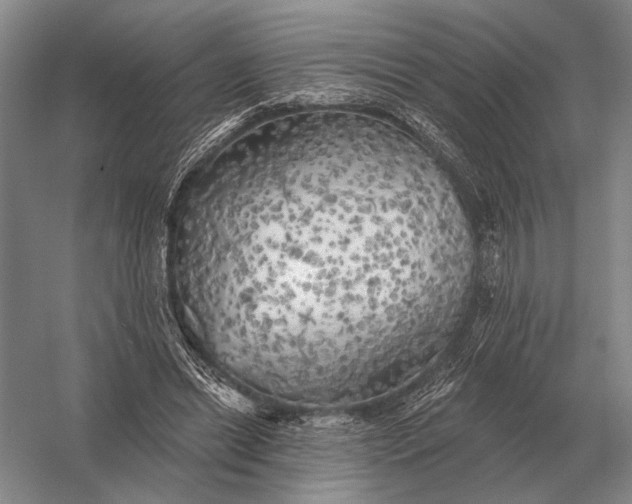 X0000056370446200509161858