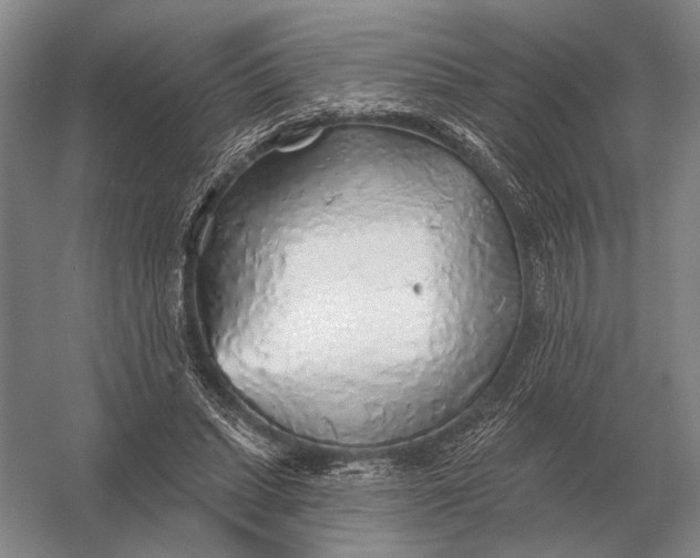 X0000056370447200509161858