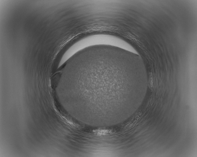 X0000056370448200509161858