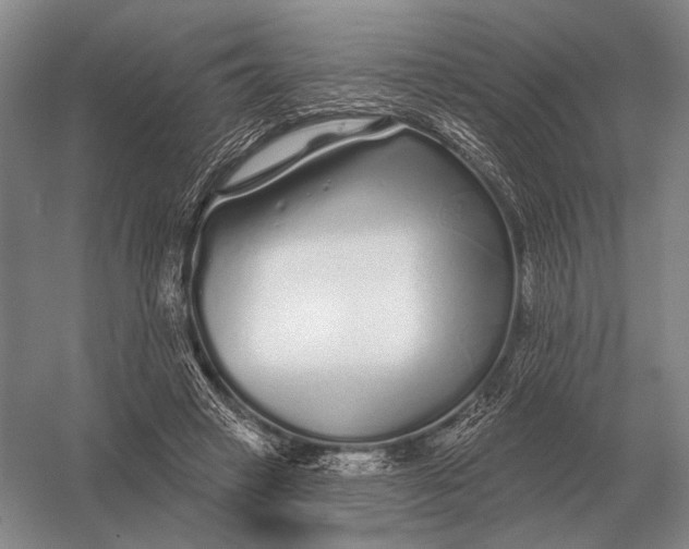 X0000056370449200509161859