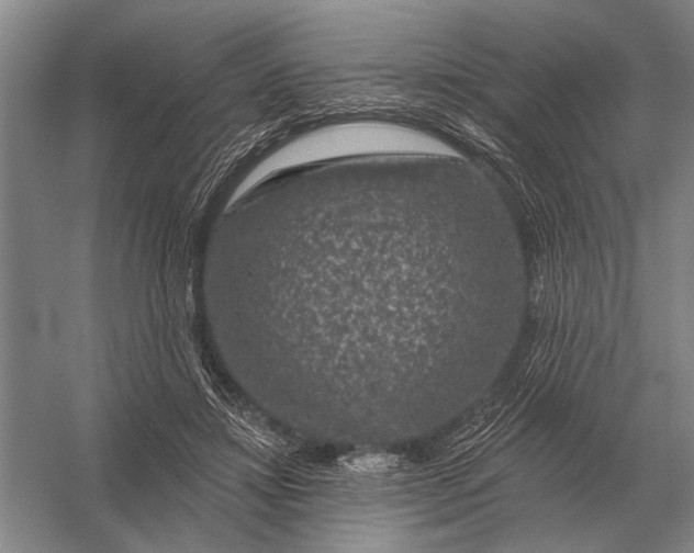 X0000056370452200509161859