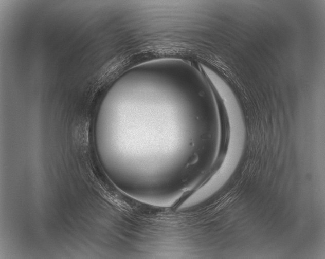 X0000056370454200509161859