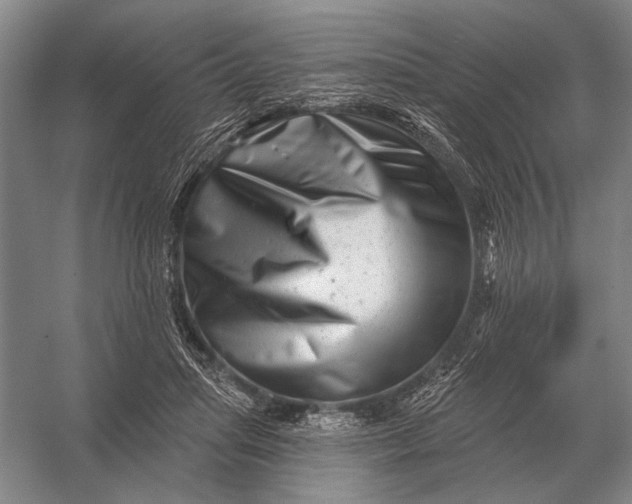 X0000056370455200509161859