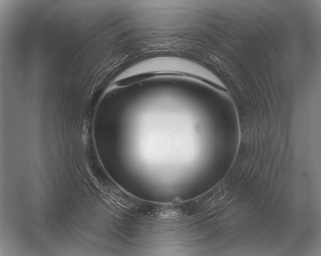 X0000056370456200509161859