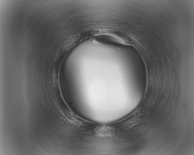 X0000056370459200509161859