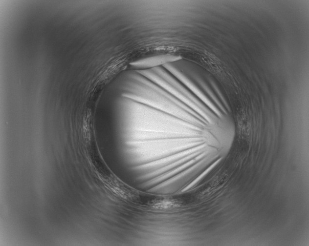 X0000056370460200509161859