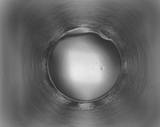 X0000056370461200509161859