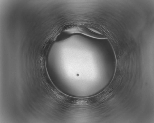 X0000056370462200509161859