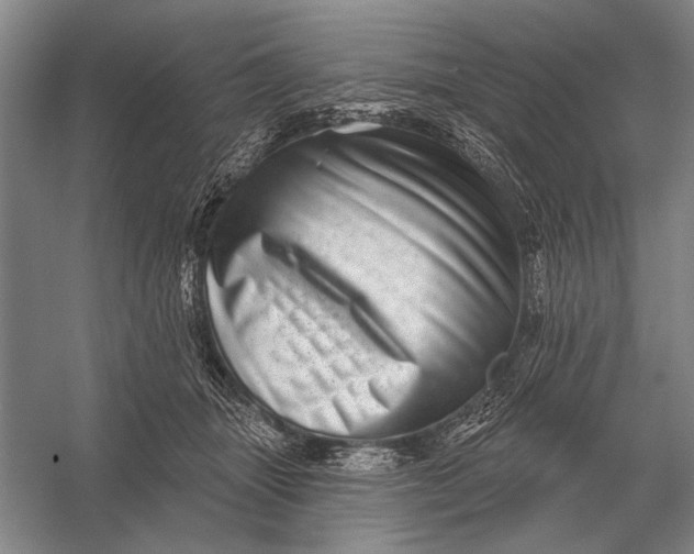 X0000056370463200509161859