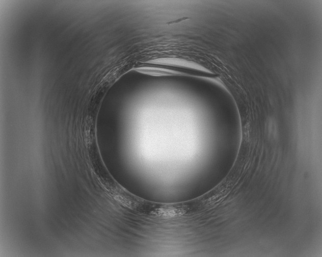 X0000056370464200509161859