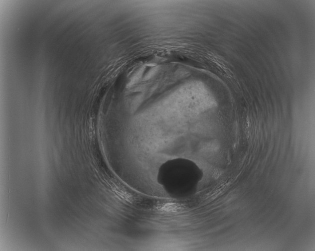 X0000056370467200509161859