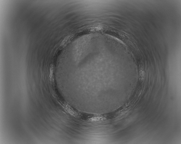 X0000056370468200509161859