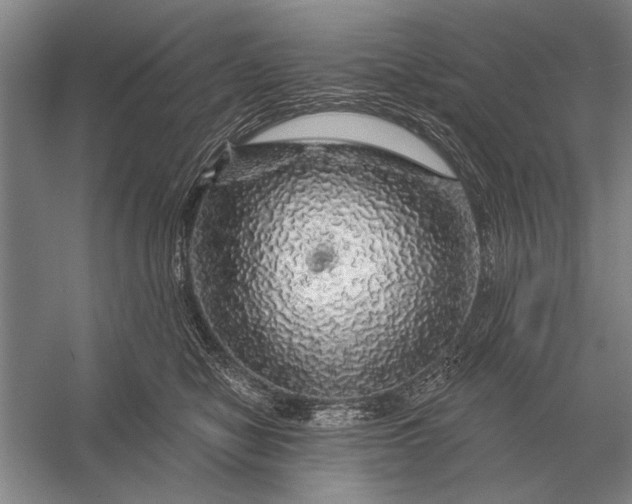 X0000056370470200509161859