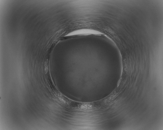 X0000056370471200509161859