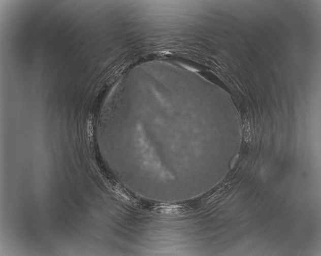 X0000056370472200509161859