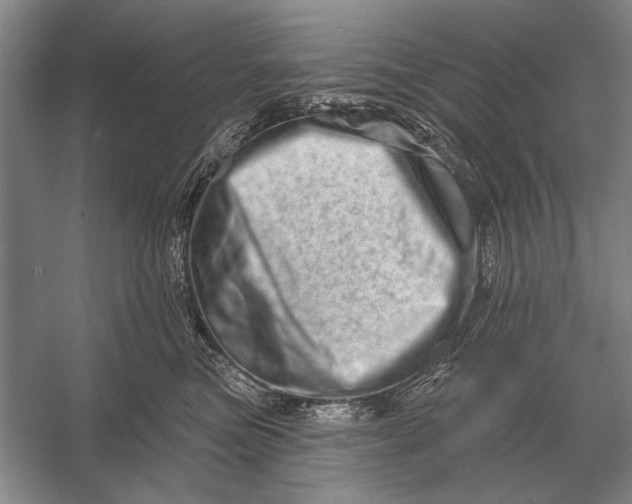 X0000056370473200509161859