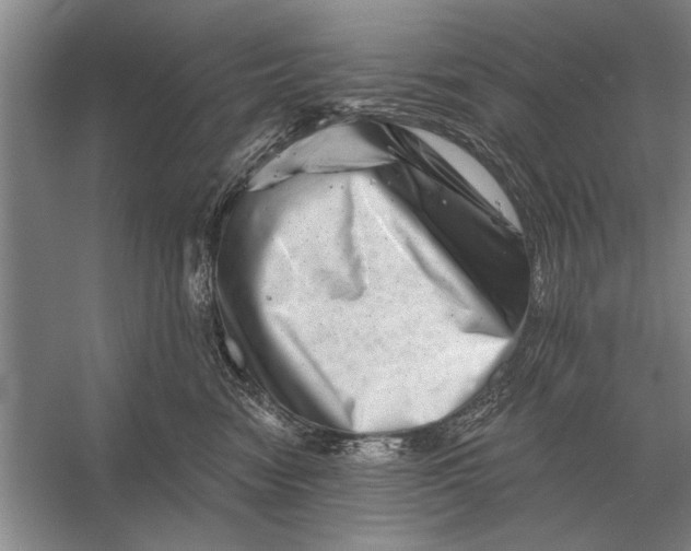 X0000056370474200509161859