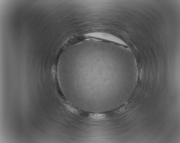 X0000056370476200509161859