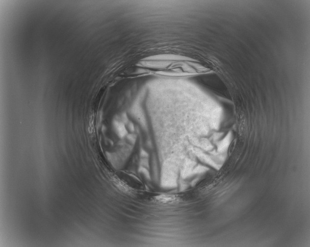 X0000056370477200509161859