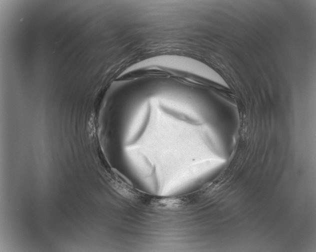 X0000056370478200509161859