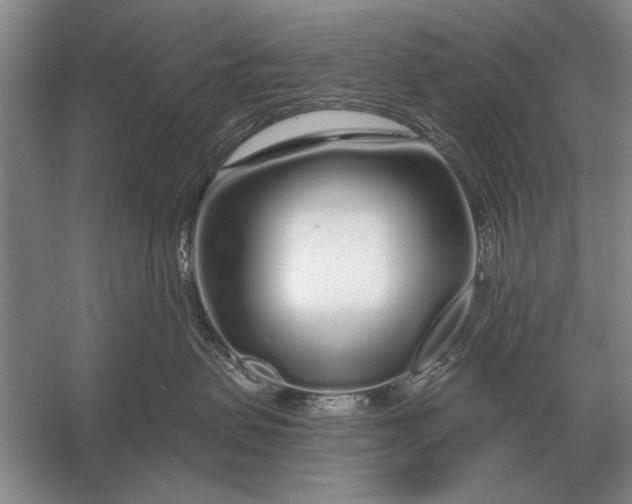 X0000056370479200509161859