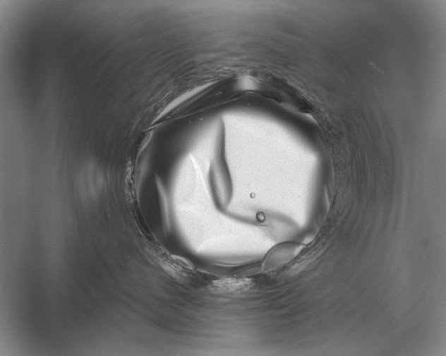 X0000056370480200509161859