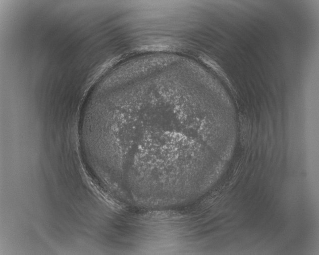 X0000056370482200509161858