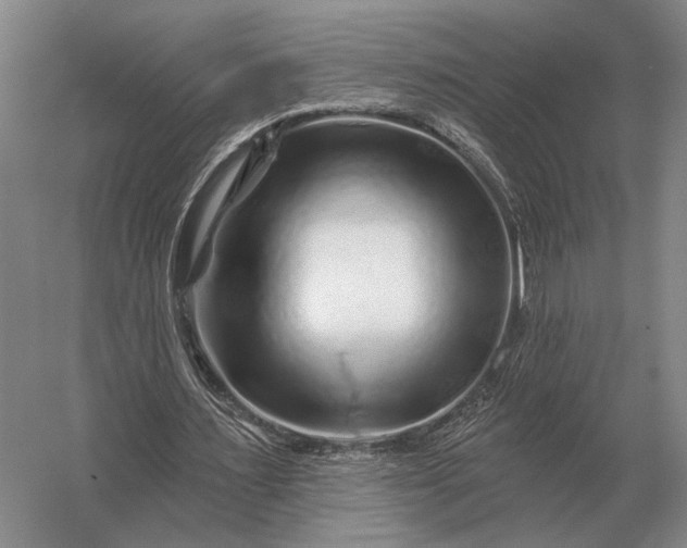 X0000056370483200509161858