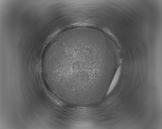 X0000056370486200509161858