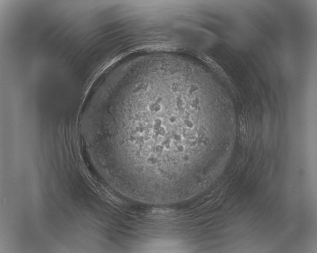 X0000056370487200509161858