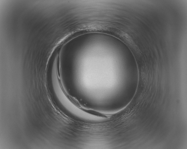 X0000056370488200509161858