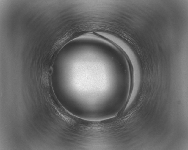 X0000056370489200509161858