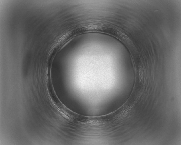 X0000056370490200509161858