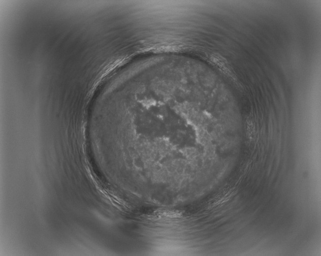 X0000056370491200509161858