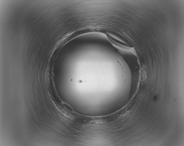 X0000056370492200509161858