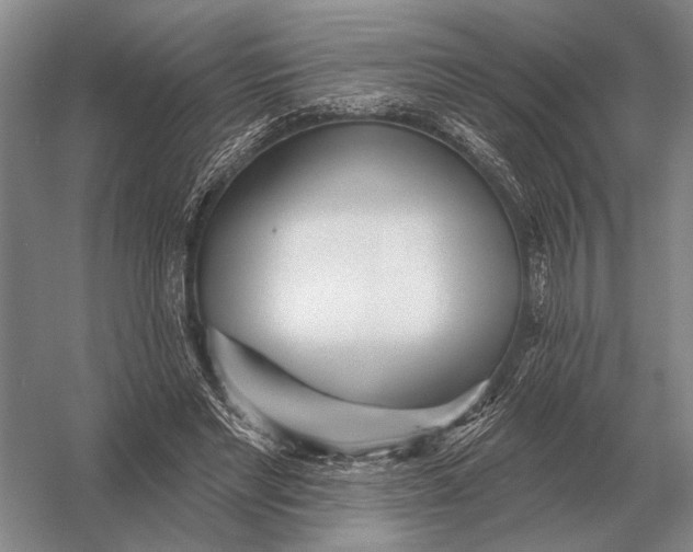 X0000056370493200509161858