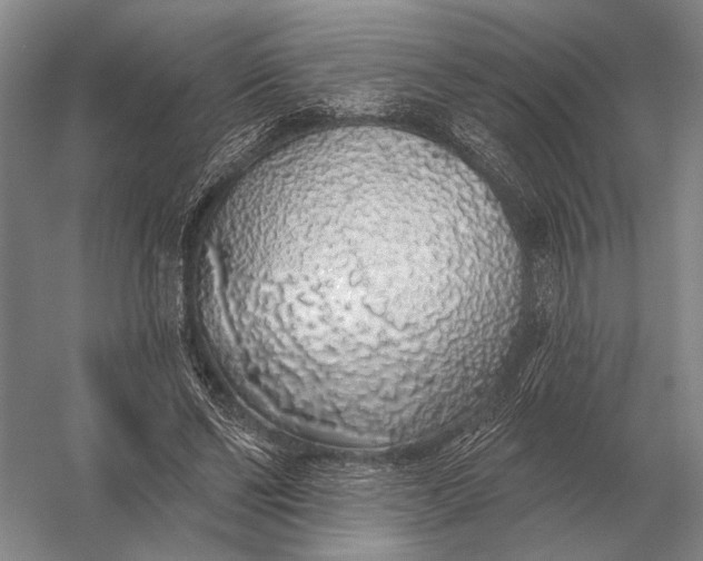 X0000056370494200509161858