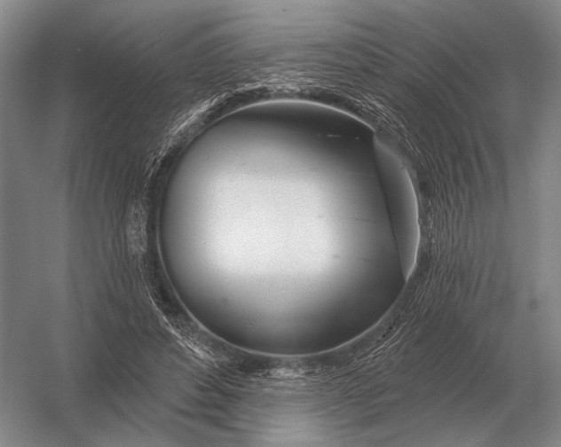 X0000056370496200509161858