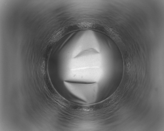 X0000056370498200509161858