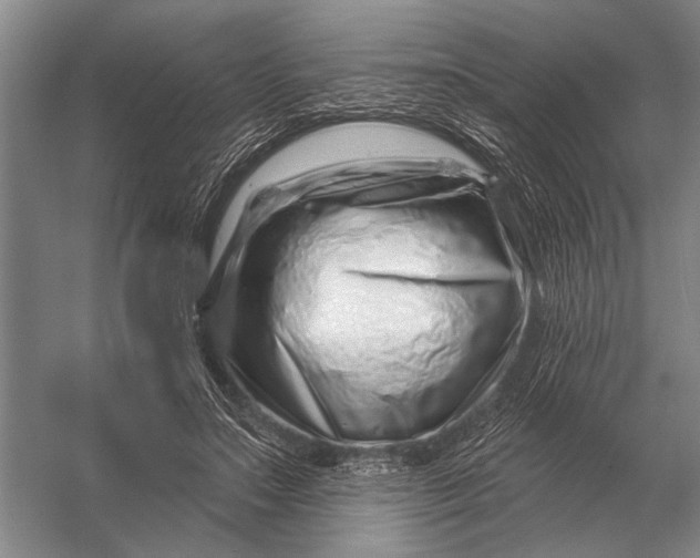 X0000056370499200509161858