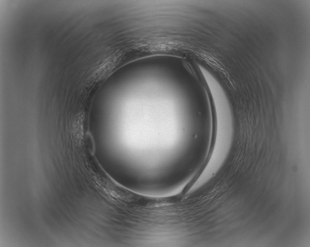 X0000056370501200509161858