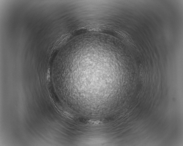 X0000056370502200509161858