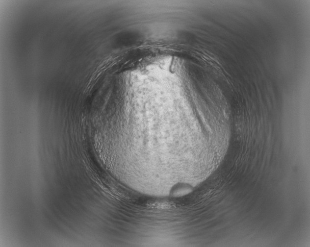 X0000056370503200509161858