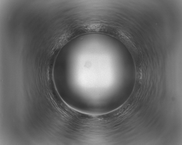 X0000056370504200509161858