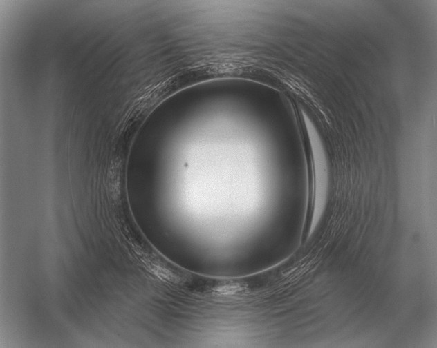 X0000056370505200509161858